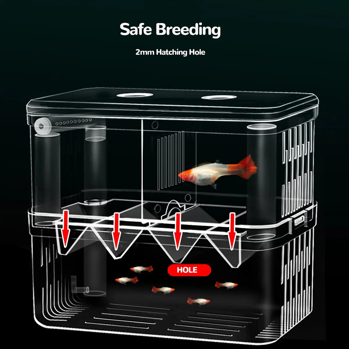 J-star Extra Large Fish Breeder Box for Aquarium Tank, Acrylic Breeding Box for Guppy/Betta/Shrimp, Baby Fish Hatchery & Isolation Tank | Acrylic, Transparent, XL - view 3