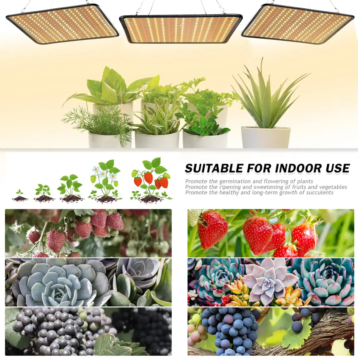 SERWING 200W LED Grow Light Bulb 3735lm | Full Spectrum for Indoor Plants - view 5