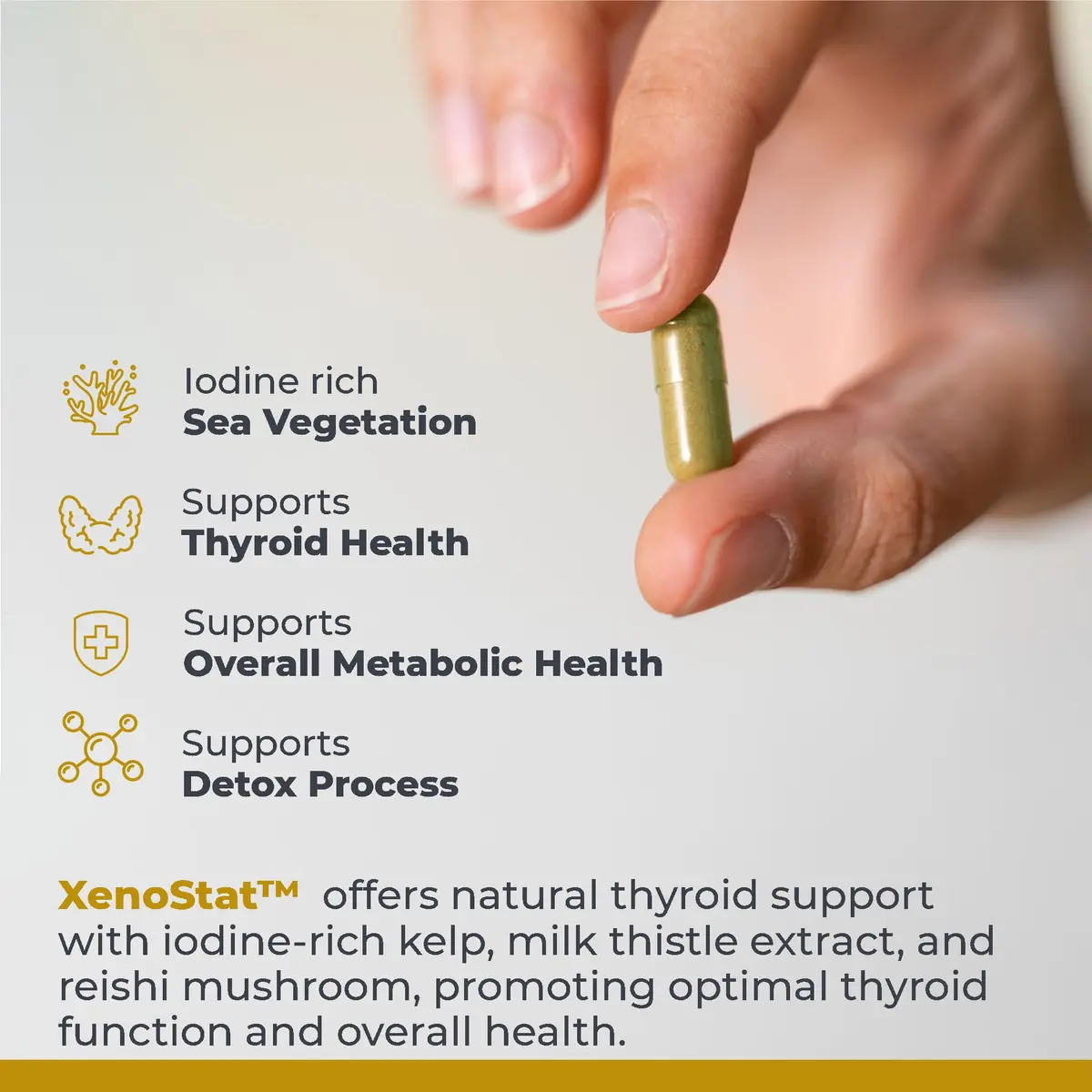 Premier Research Labs XenoStat - Thyroid Supplement - 90 Capsules | Natural Thyroid Support with Iodine & Plant Extracts - view 4