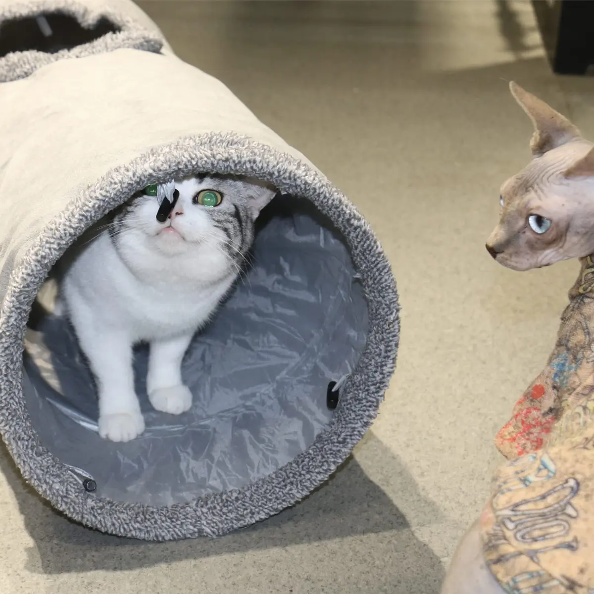 Terunat Cat Tunnel for Indoor Cats 51×12 inch Foldable Grey Suede Pet Tunnel with Two Peepholes and Bubble Ball - view 5