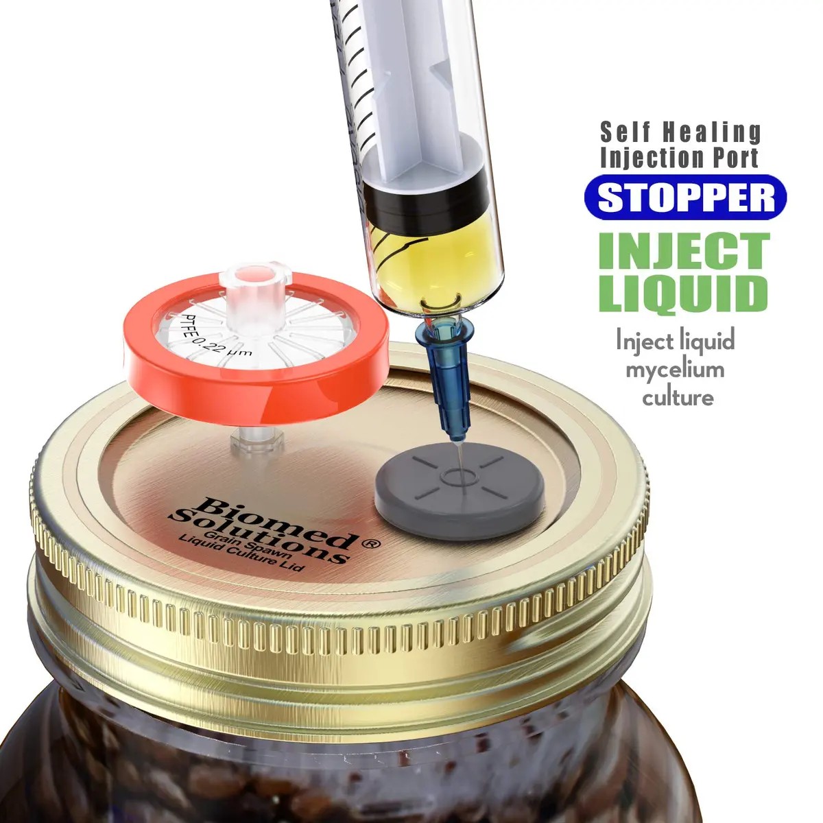 Biomed Solutions 6Pcs Regular Mouth Liquid Culture Lids with PTFE Filter & Injection Ports | Golden - view 5