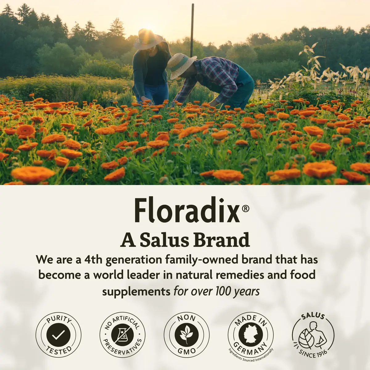 Floradix Floravital Liquid Iron Supplement, Vegan, Gluten-Free, 16.9 Fl Oz | Supports Iron Absorption & Energy - view 8
