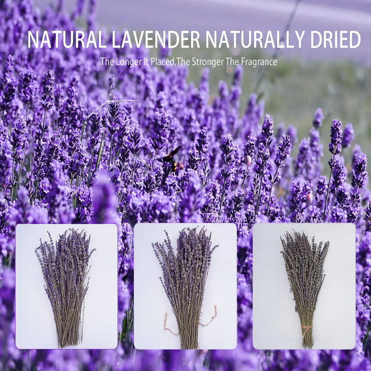 Uieke Natural Dried Lavender Bundles | 280-300 Stems, 180g/6.35oz, Aromatic & Long-Lasting - view 8