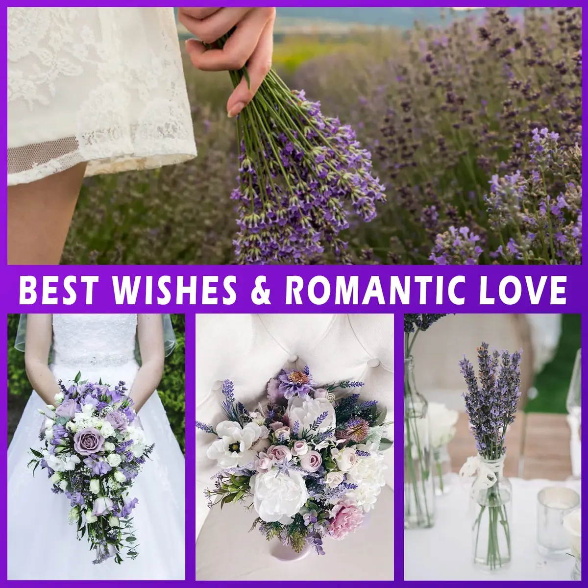 Uieke Natural Dried Lavender Bundles | 280-300 Stems, 180g/6.35oz, Aromatic & Long-Lasting - view 9