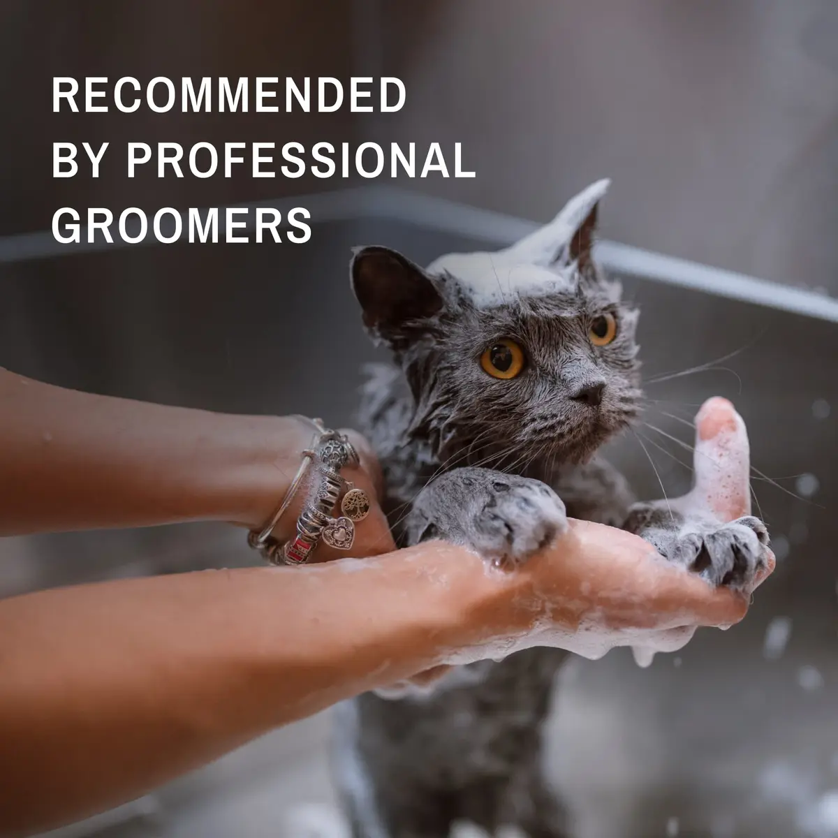 Eye Envy Tear Stain Facial Cleanser for Dogs & Cats 3.78 L (1 US Gallon) | Gentle Foaming Formula for Eye Debris & Discharge - view 5