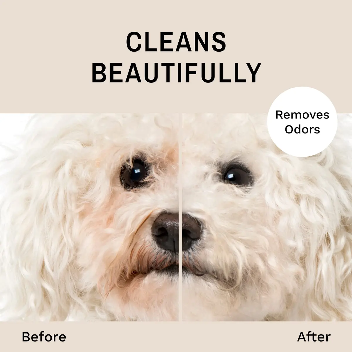 Eye Envy Tear Stain Facial Cleanser for Dogs & Cats 3.78 L (1 US Gallon) | Gentle Foaming Formula for Eye Debris & Discharge - view 2