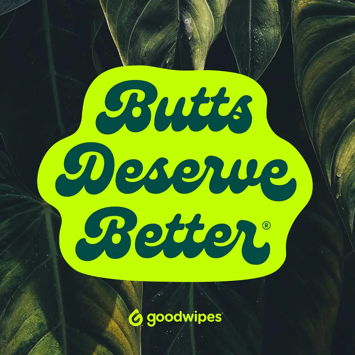 goodwipes Flushable Wipes Rosewater Scent 360 Count (60 Wipes x 6 Packs) | Septic Safe & Biodegradable - view 6