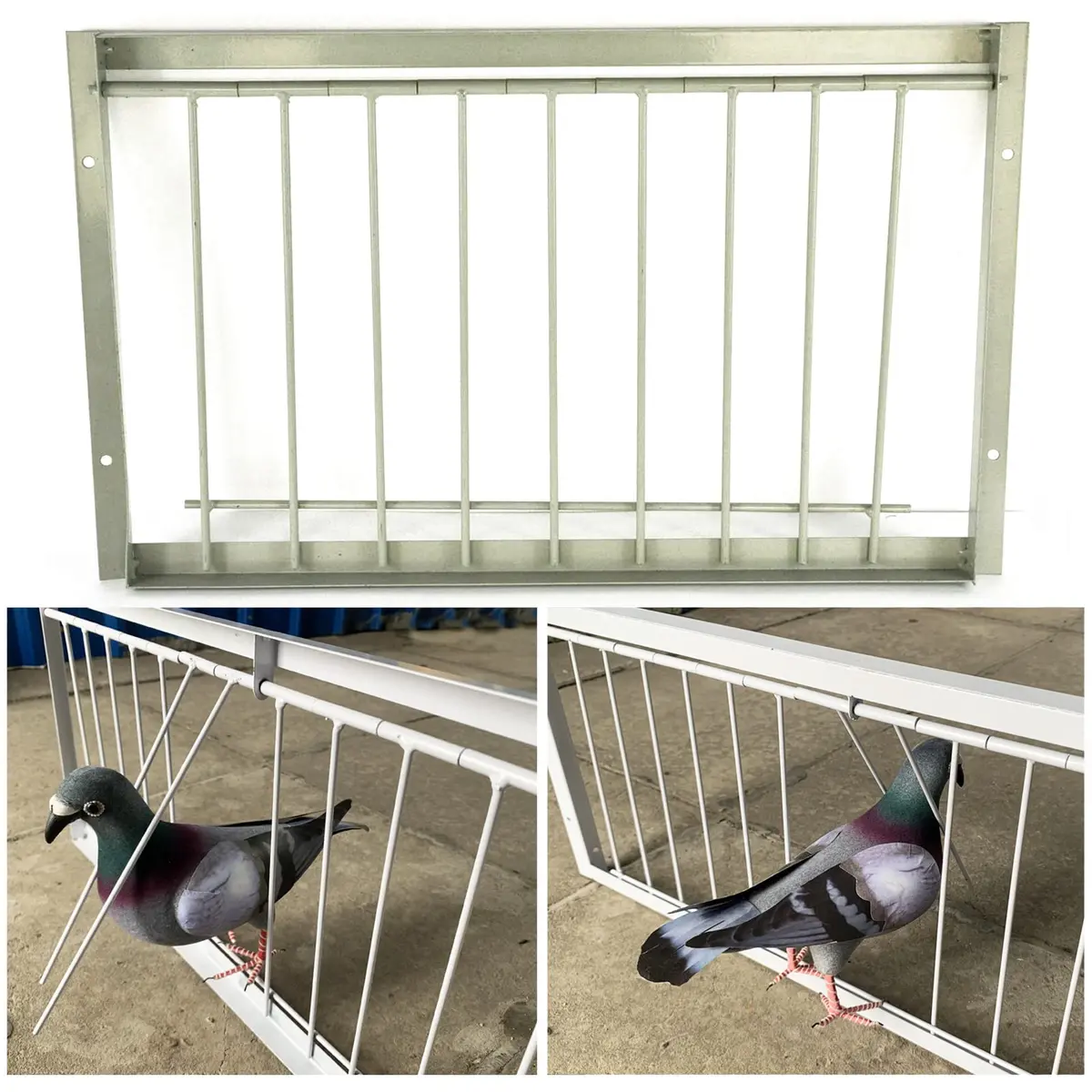 SRRPSPIGEON Pigeon Loft Door 30 cm (12 in) | One-Way Entry for Pigeon Lofts - main product image