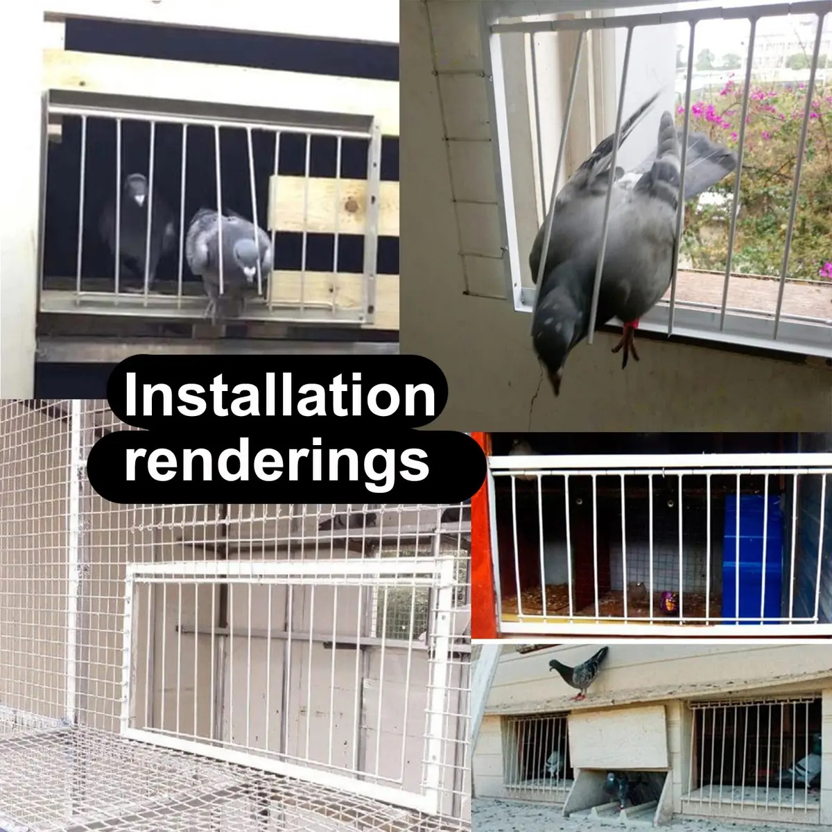 SRRPSPIGEON Pigeon Loft Door 30 cm (12 in) | One-Way Entry for Pigeon Lofts - view 5