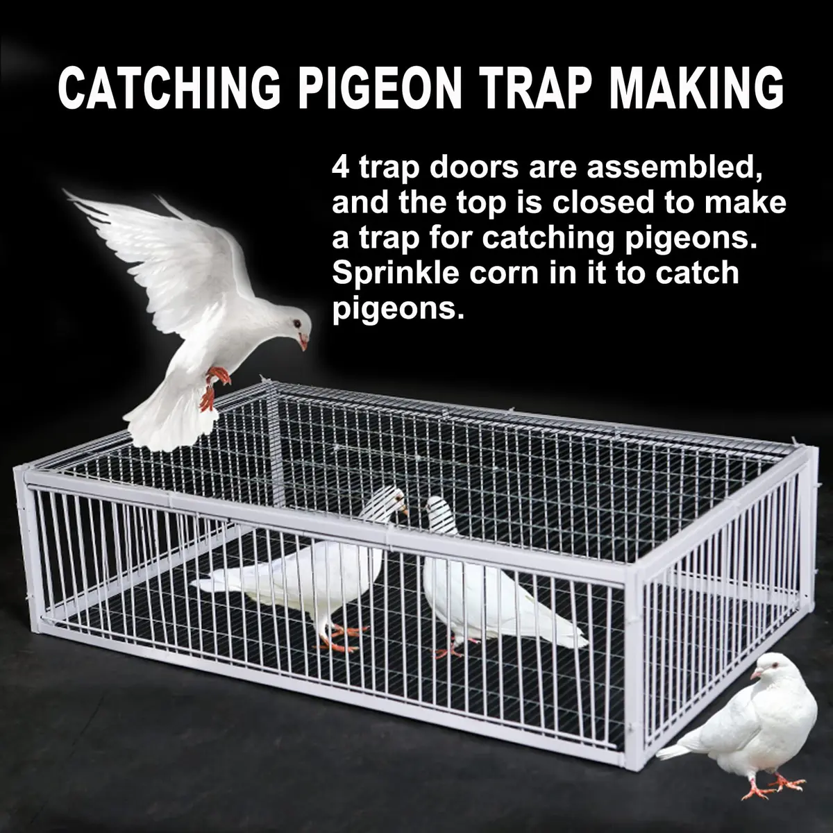 SRRPSPIGEON Pigeon Loft Door 30 cm (12 in) | One-Way Entry for Pigeon Lofts - view 6