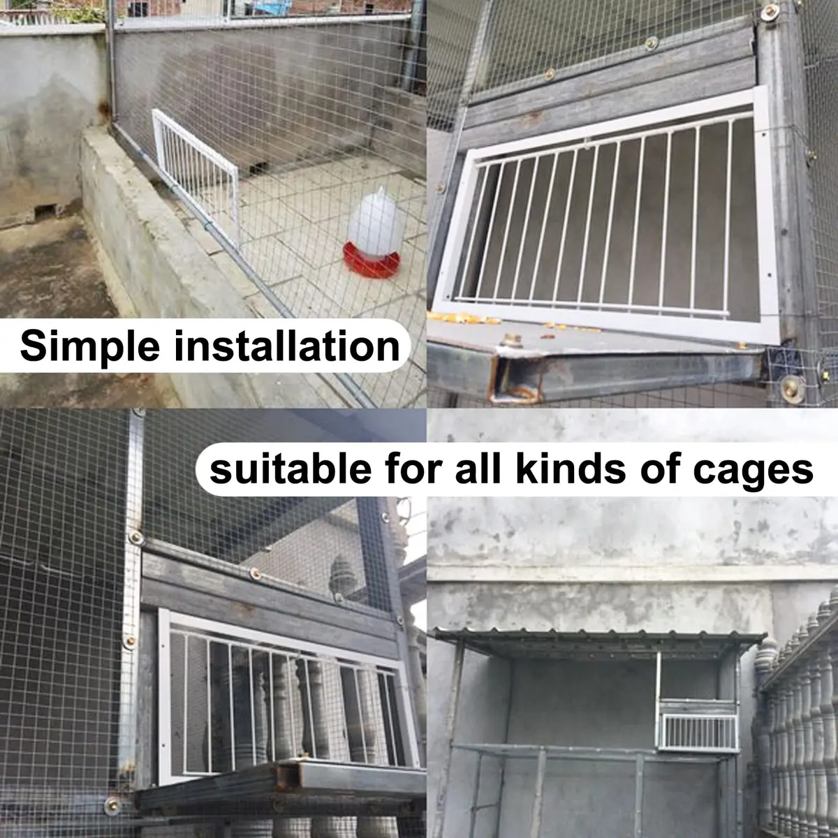 SRRPSPIGEON Pigeon Loft Door 30 cm (12 in) | One-Way Entry for Pigeon Lofts - view 3
