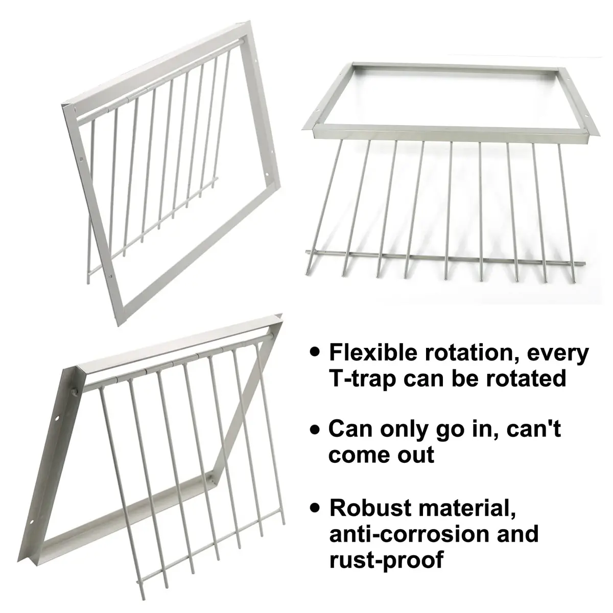 SRRPSPIGEON Pigeon Loft Door 30 cm (12 in) | One-Way Entry for Pigeon Lofts - view 4