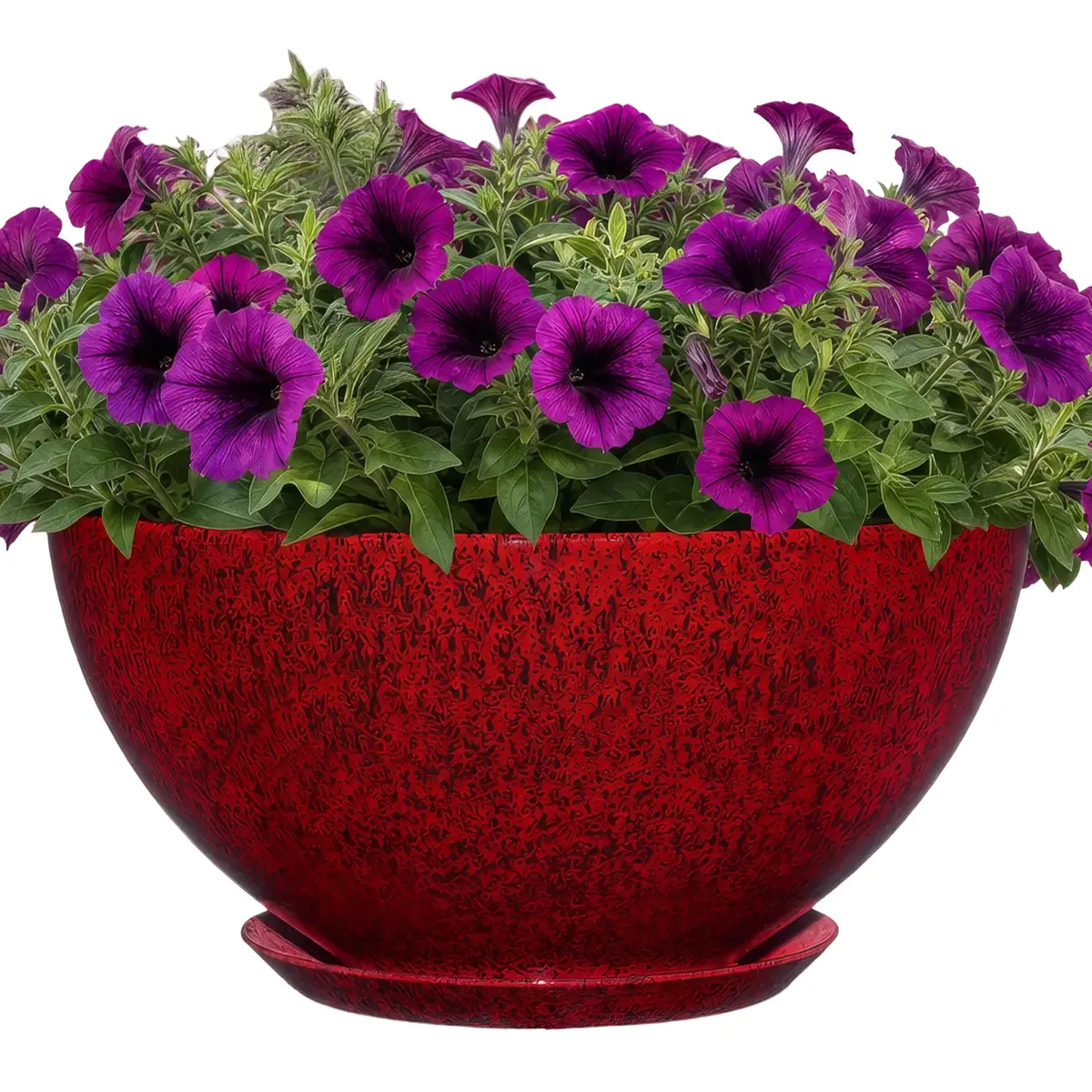 GROWSCAPE Rosie Planter Bowl, 10” Lava Red | Weather-Resistant Resin with Drainage - main product image