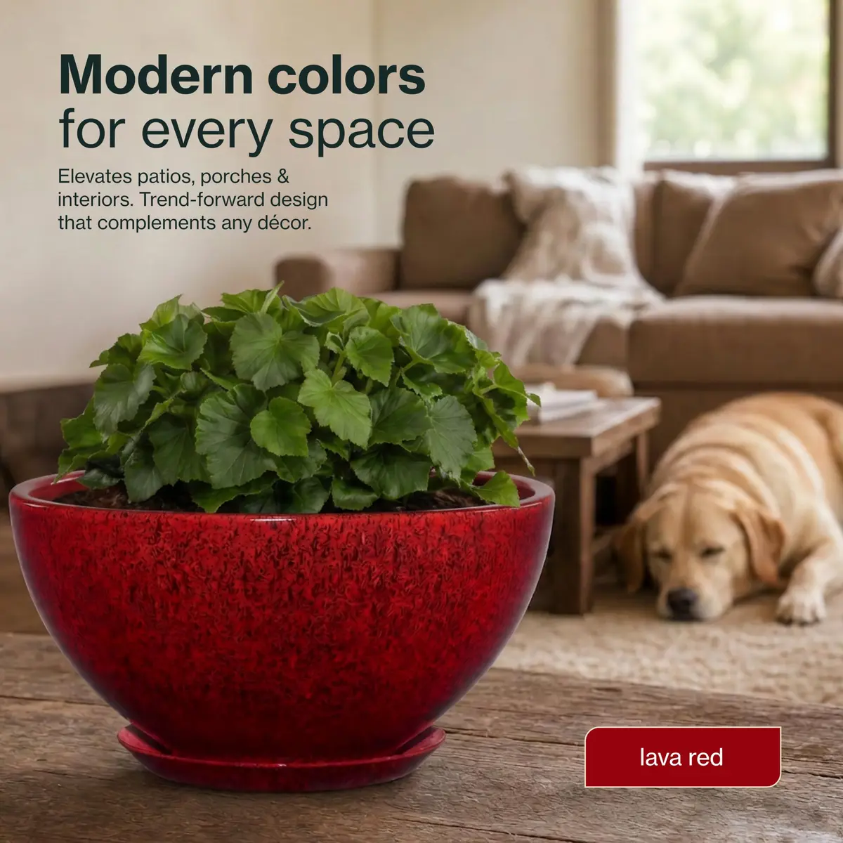 GROWSCAPE Rosie Planter Bowl, 10” Lava Red | Weather-Resistant Resin with Drainage - view 4