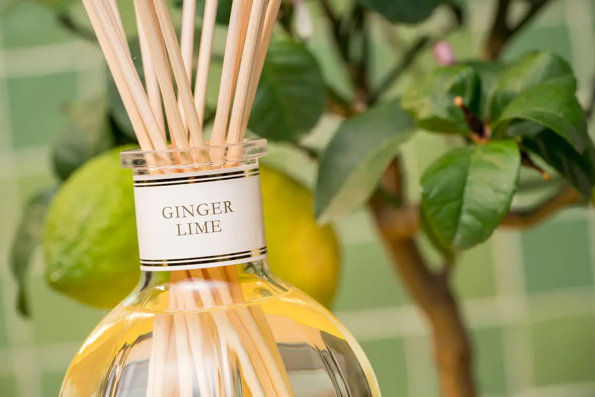 Dr. Vranjes Ginger Lime 250 ml Aroma Diffuser + White Sticks | Italian Luxury Home Fragrance - view 5