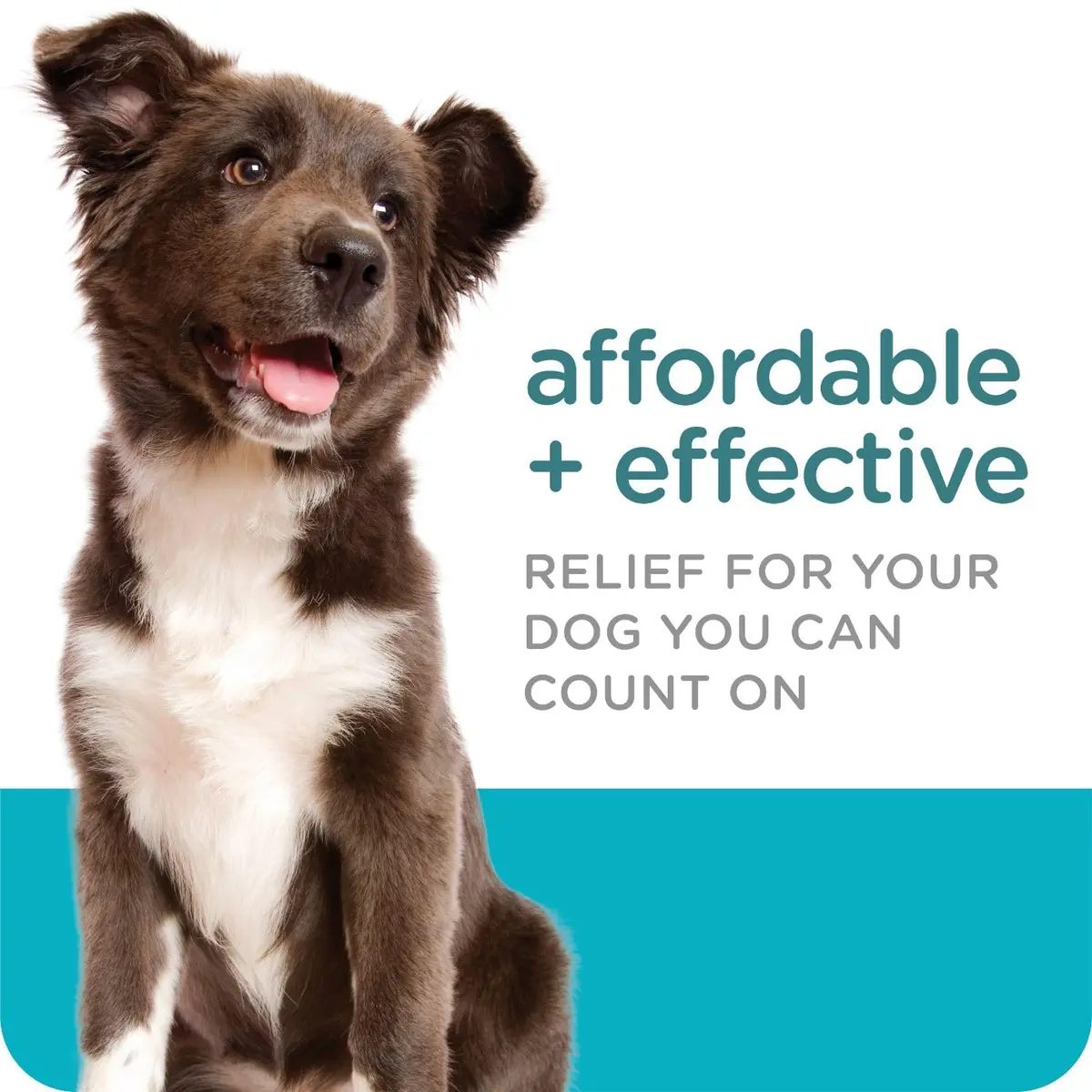 Sergeant's Guardian Flea & Tick Topical for Dogs 66+ lbs | 3-Month Protection, Quick-Dry Formula - view 3