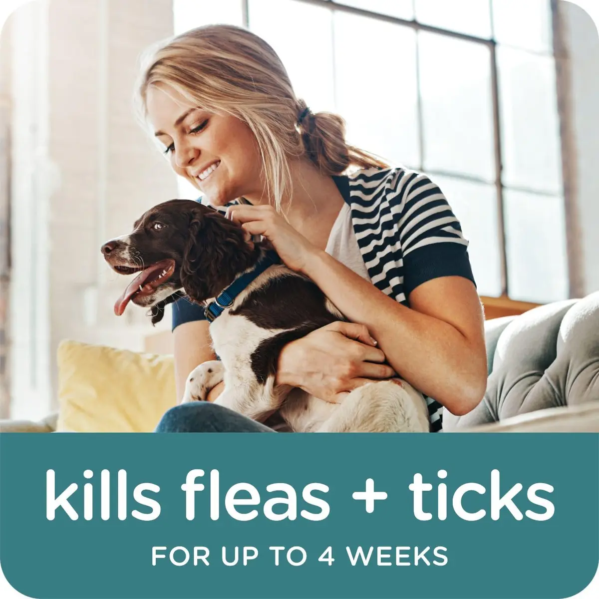 Sergeant's Guardian Flea & Tick Topical for Dogs 66+ lbs | 3-Month Protection, Quick-Dry Formula - view 4