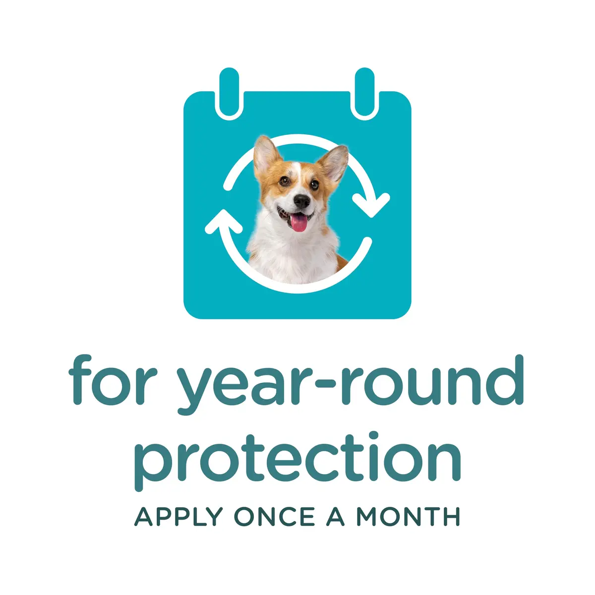 Sergeant's Guardian PRO Flea & Tick Topical for Dogs 33-66 lbs | 3-Month Protection, Quick Drying - view 7