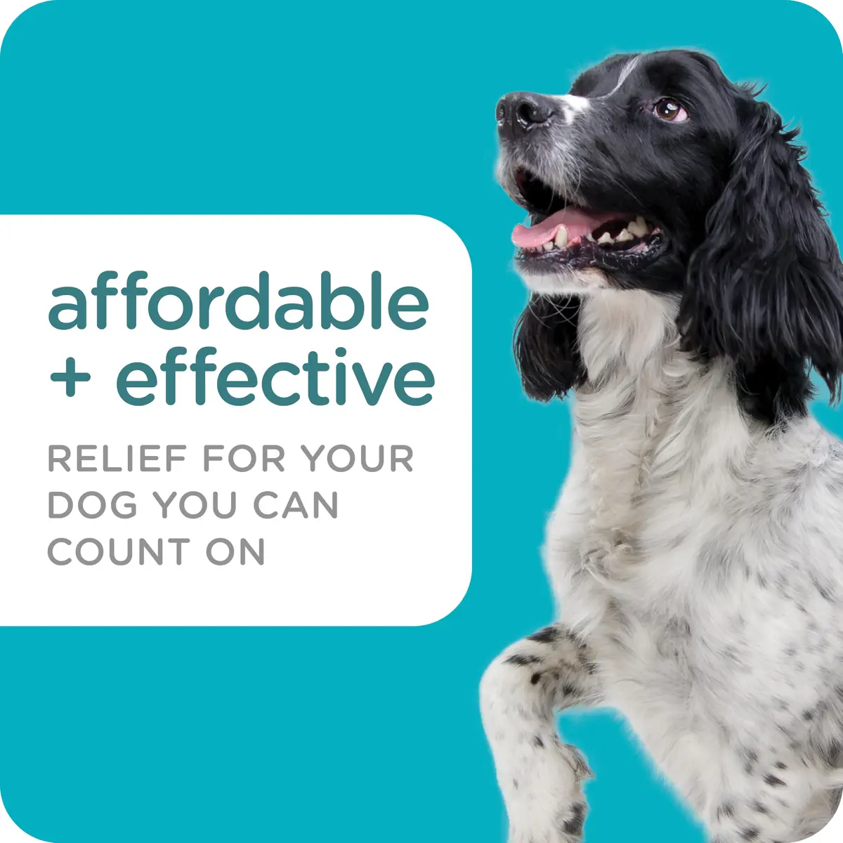 Sergeant's Guardian PRO Flea & Tick Topical for Dogs 33-66 lbs | 3-Month Protection, Quick Drying - view 3