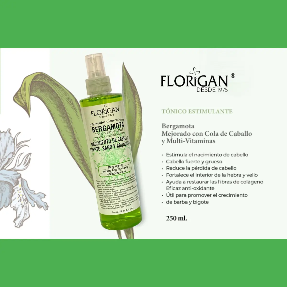 Florigan Bergamota Hair Growth Tonic Spray 250ml (8.45 Fl Oz) | Stimulates Growth & Prevents Loss - view 2