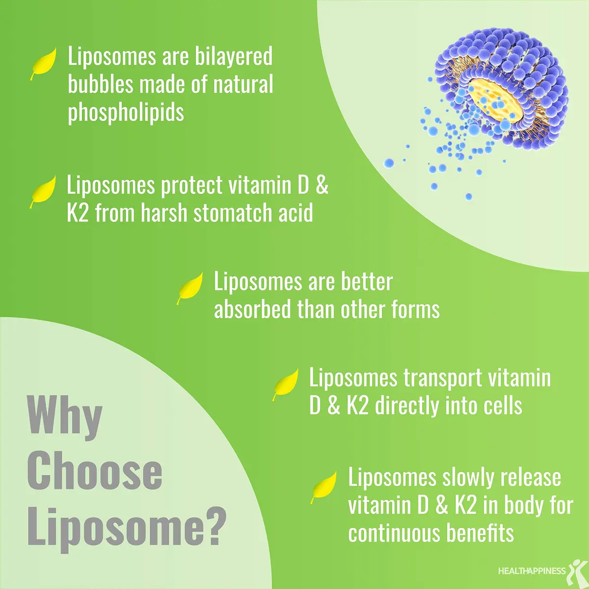 UpNourish Liposomal D3 K2 MK-7 365 Softgels | Organic Coconut Oil for Bone & Immunity - view 3