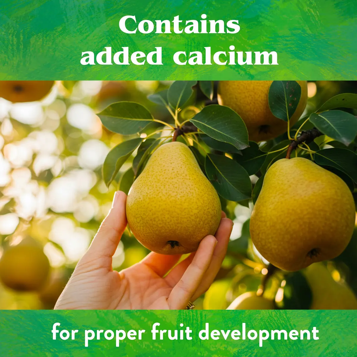 Down To Earth All Natural Fertilizers Organic Fruit Tree 15 lb | OMRI Listed for Organic Gardening - view 7