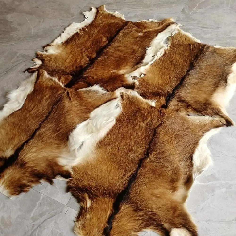 Asuprui Red Deer Hide Rug 0.98m x 0.64m (3.2ft x 2.1ft) | Authentic Animal Skin Carpet for Bedroom - view 6