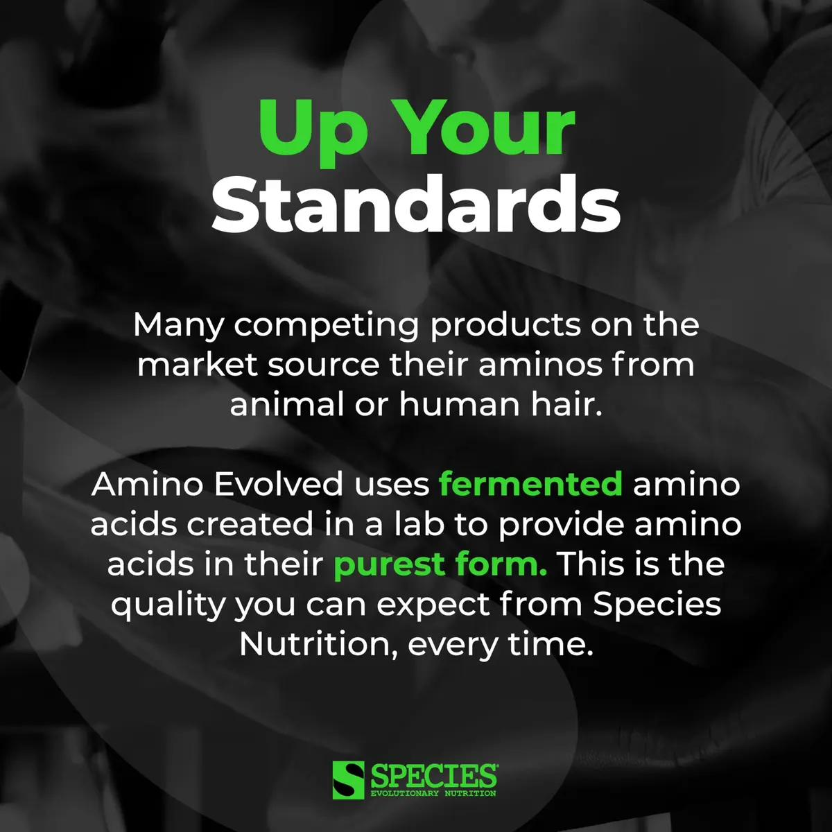 Species Nutrition BCAA & EAA Amino Acids Powder, Strawberry | Supports Muscle Growth & Recovery - view 5