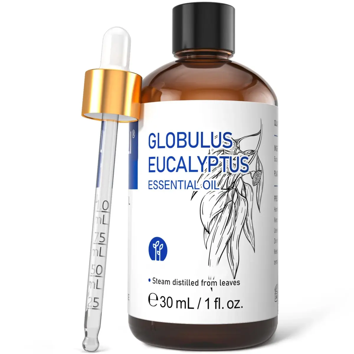 HIQILI Eucalyptus Essential Oil 30ml (1.01 Fl Oz) | Steam Distilled for Aromatherapy & DIY - main product image