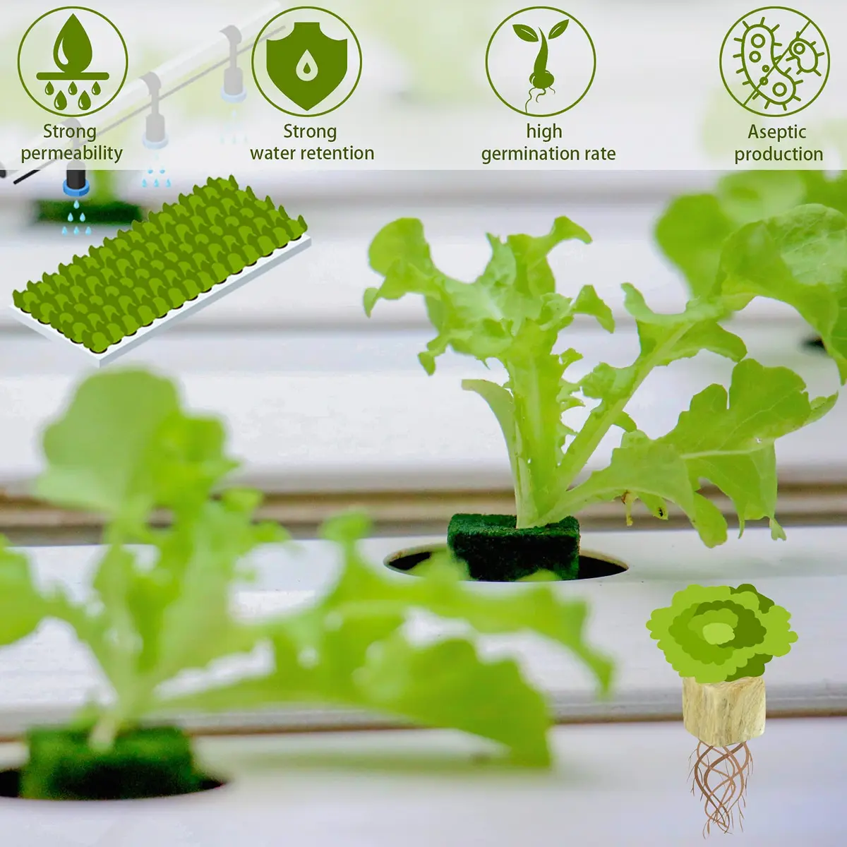Legigo Rockwool Cubes Seed Starter Plugs 1 Inch (2.54cm) for Hydroponics, 300 Plugs | Premium Basalt Fiber for Rooting - view 4