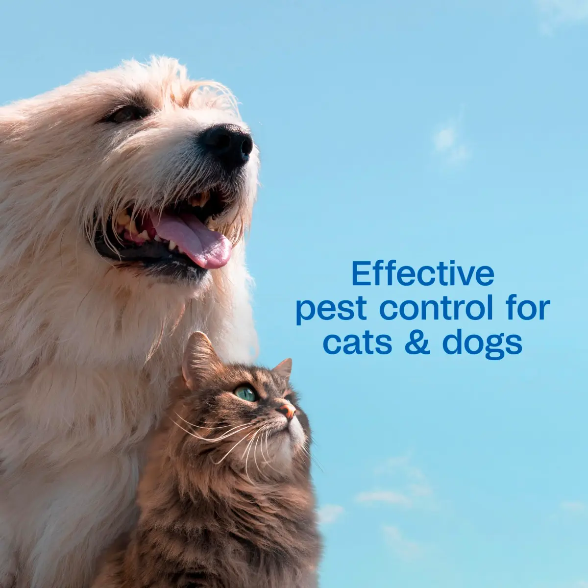 ADAMS Plus Flea & Tick Shampoo with Precor 177ml (6 Fl Oz) | Kills Fleas, Ticks, Eggs & Lice - view 4