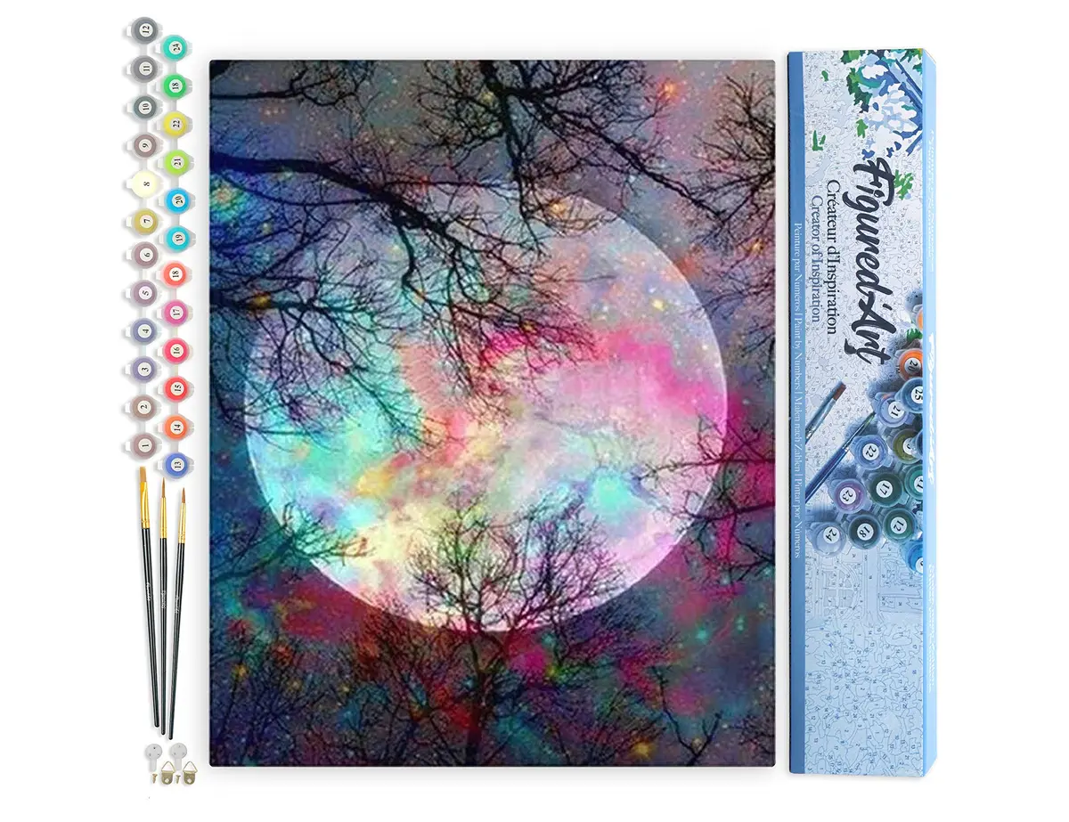 Figured'Art Paint by Numbers Kit for Adults Full Moon with Colourful Reflections 16"x20" | DIY Art Canvas - main product image