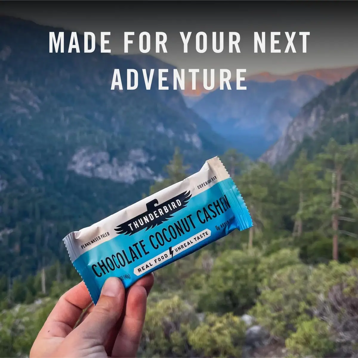 Thunderbird Real Food Bars Gluten-Free Protein Snack 12x1.7 oz | Vegan Paleo Non-GMO - view 6