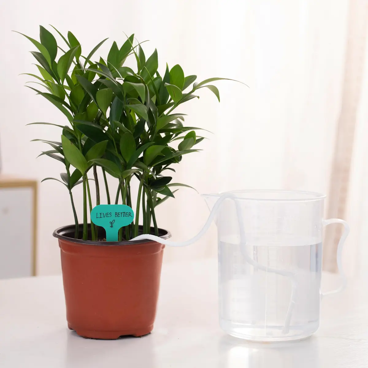ORIMERC 15ft Self-Watering Capillary Wick Cord for Plants | Automatic Watering System for Hydroponics & Seedlings - view 3