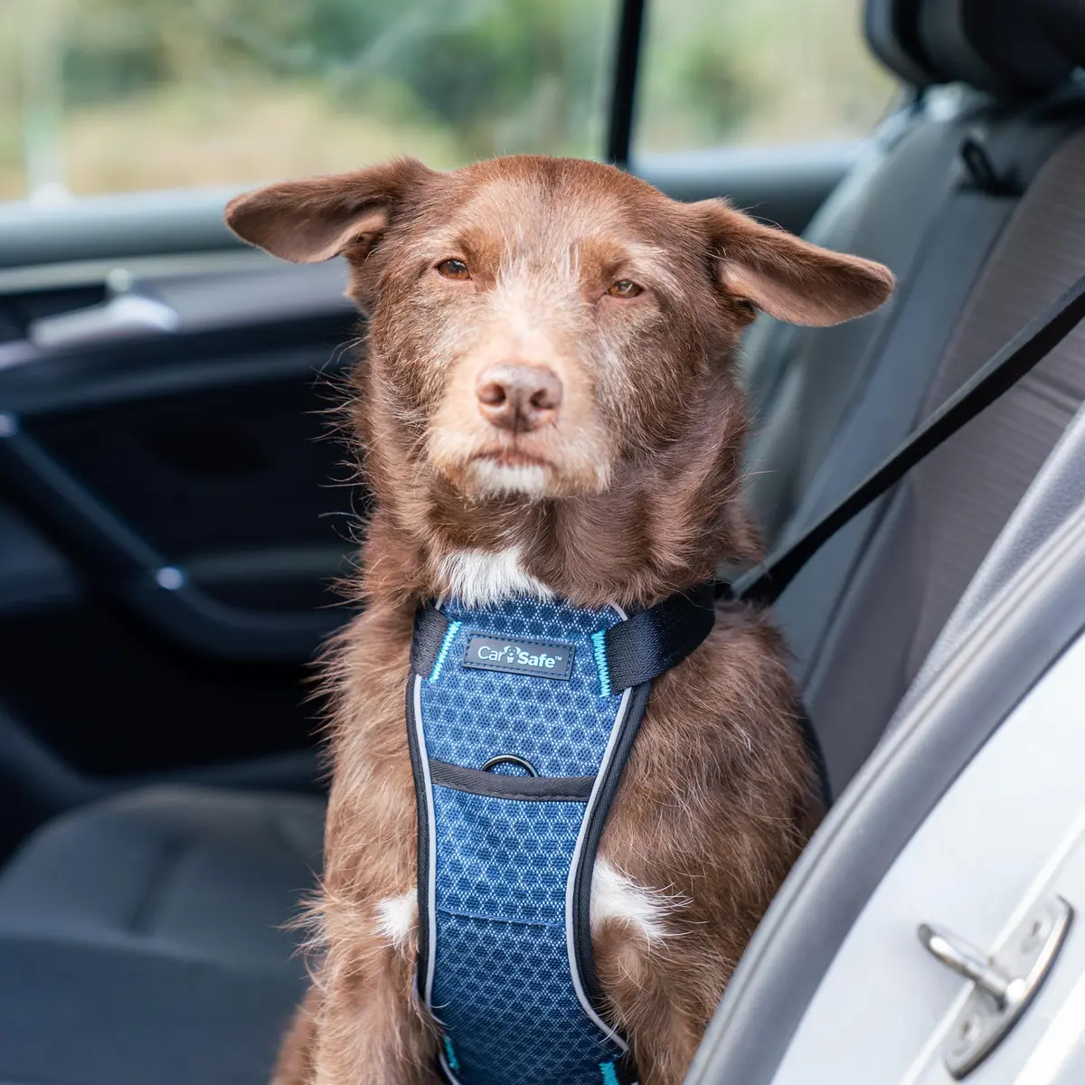 Carsafe Crash Tested Dog Safety Harness Size S | Certified Up to 32kg/70lbs, Reflective & Breathable - view 2