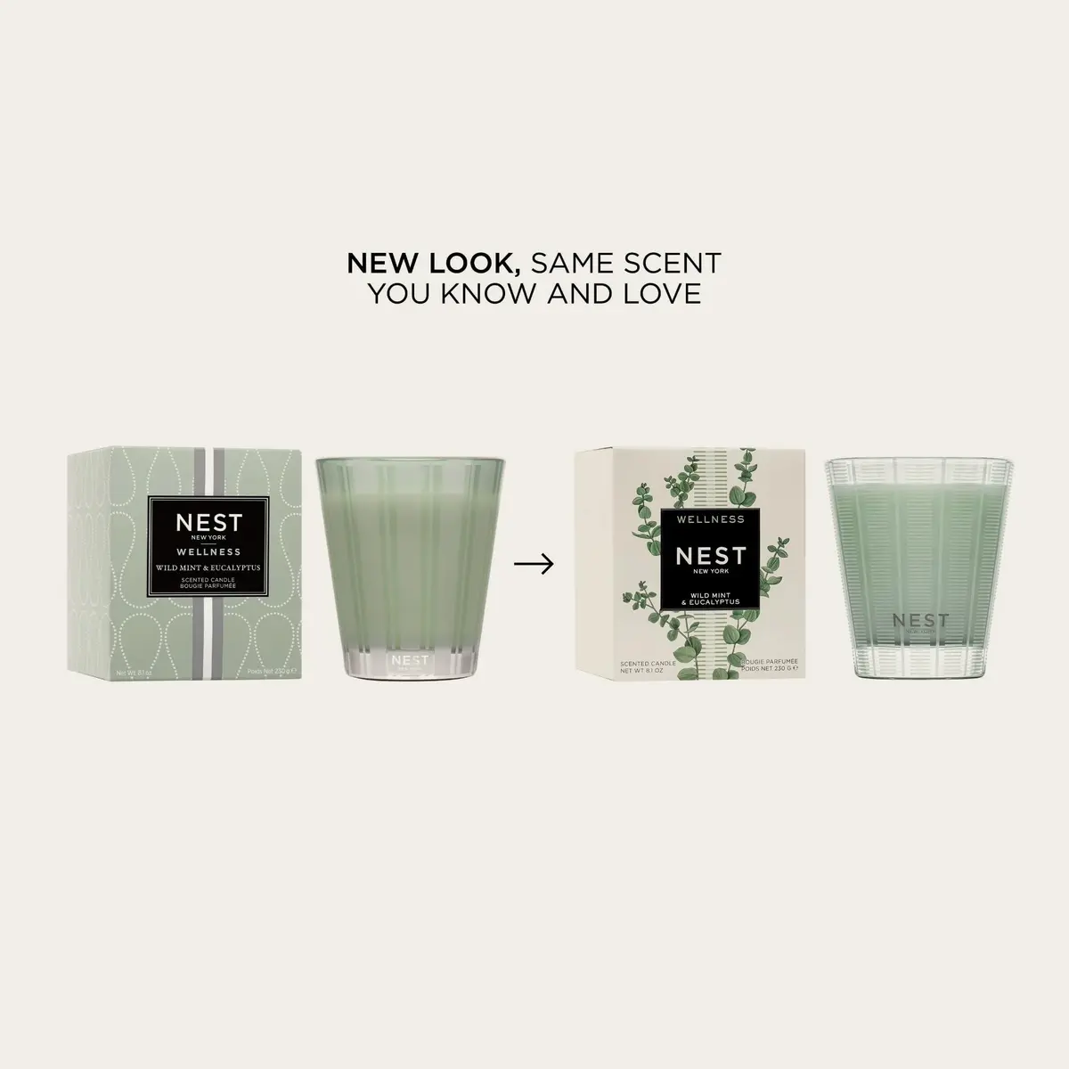 NEST New York Scented 3-Wick Candle, Wild Mint & Eucalyptus | Elegant Home Fragrance (70-120 chars) - view 2