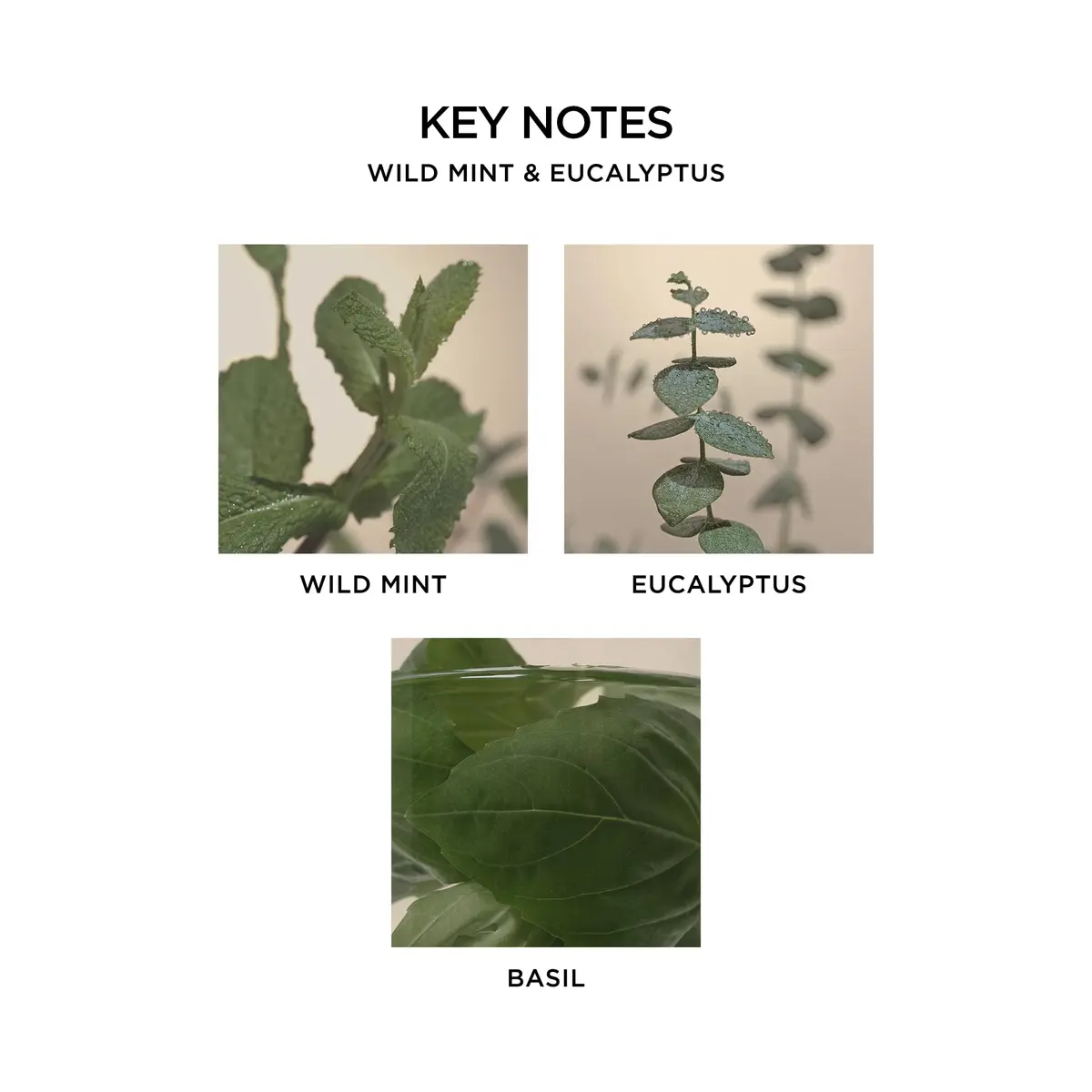 NEST New York Scented 3-Wick Candle, Wild Mint & Eucalyptus | Elegant Home Fragrance (70-120 chars) - view 4