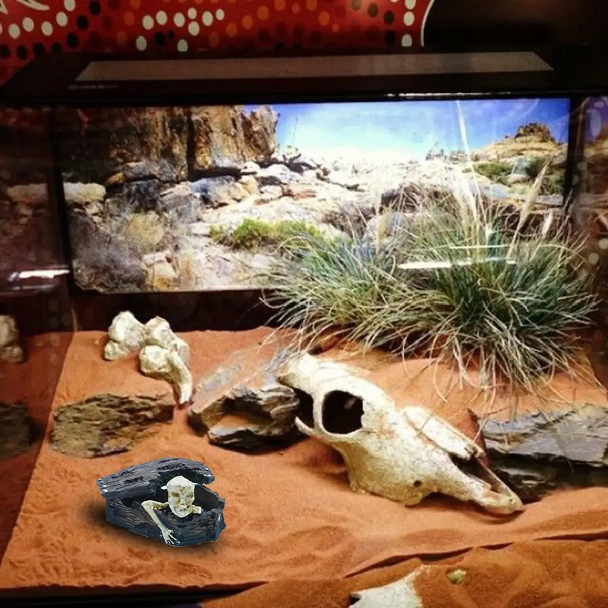 Kocris Casa Skull Coffin Aquarium Decoration 8.9cm (3.5") | Resin Cave House for Fish, Reptiles, and Terrariums - view 8