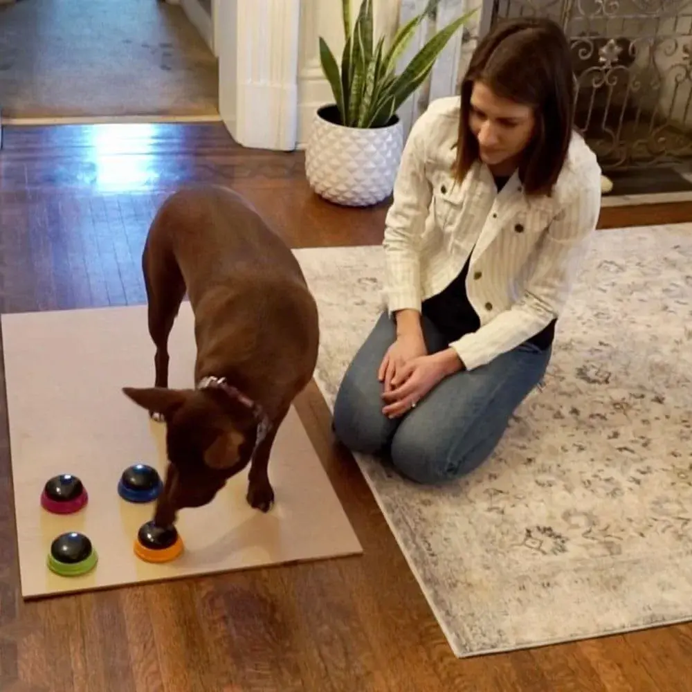 Hunger for Words Talking Pet Starter Set - Dog Buttons for Communication, 4 Recordable Buttons | Developed by Speech Therapist Christina Hunger - view 6