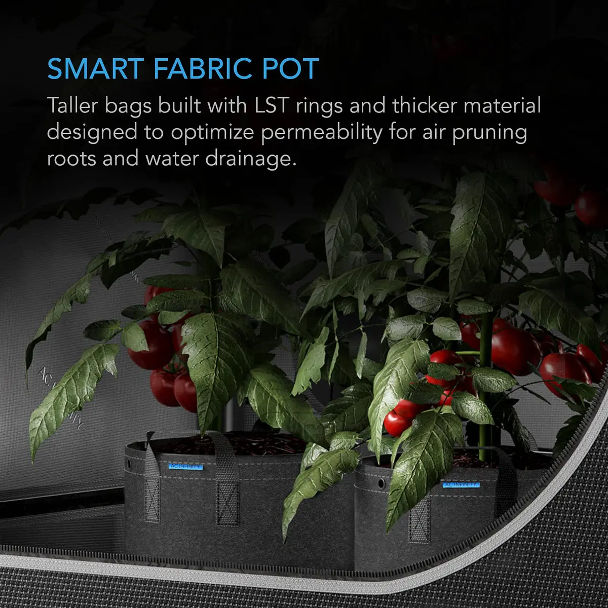 AC Infinity Heavy-Duty 7 Gallon Fabric Pots, 5-Pack | Air-Pruning Grow Bags for Healthy Roots - view 2