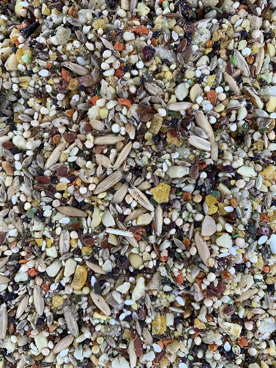 Goldenfeast VL Patagonian Blend 3 lb Bag | Natural Bird Food for Small & Medium Birds - view 2