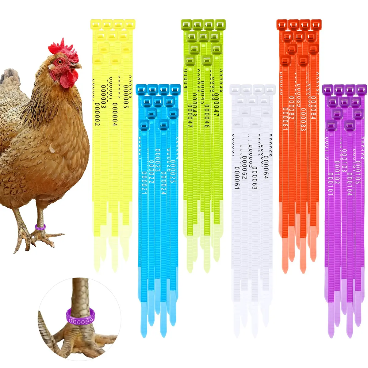 Shappy 120 Pcs Adjustable Chicken Leg Bands Numbered 1-120, 6 Colors | Bulk Farm Management & Wire Organizing - main product image