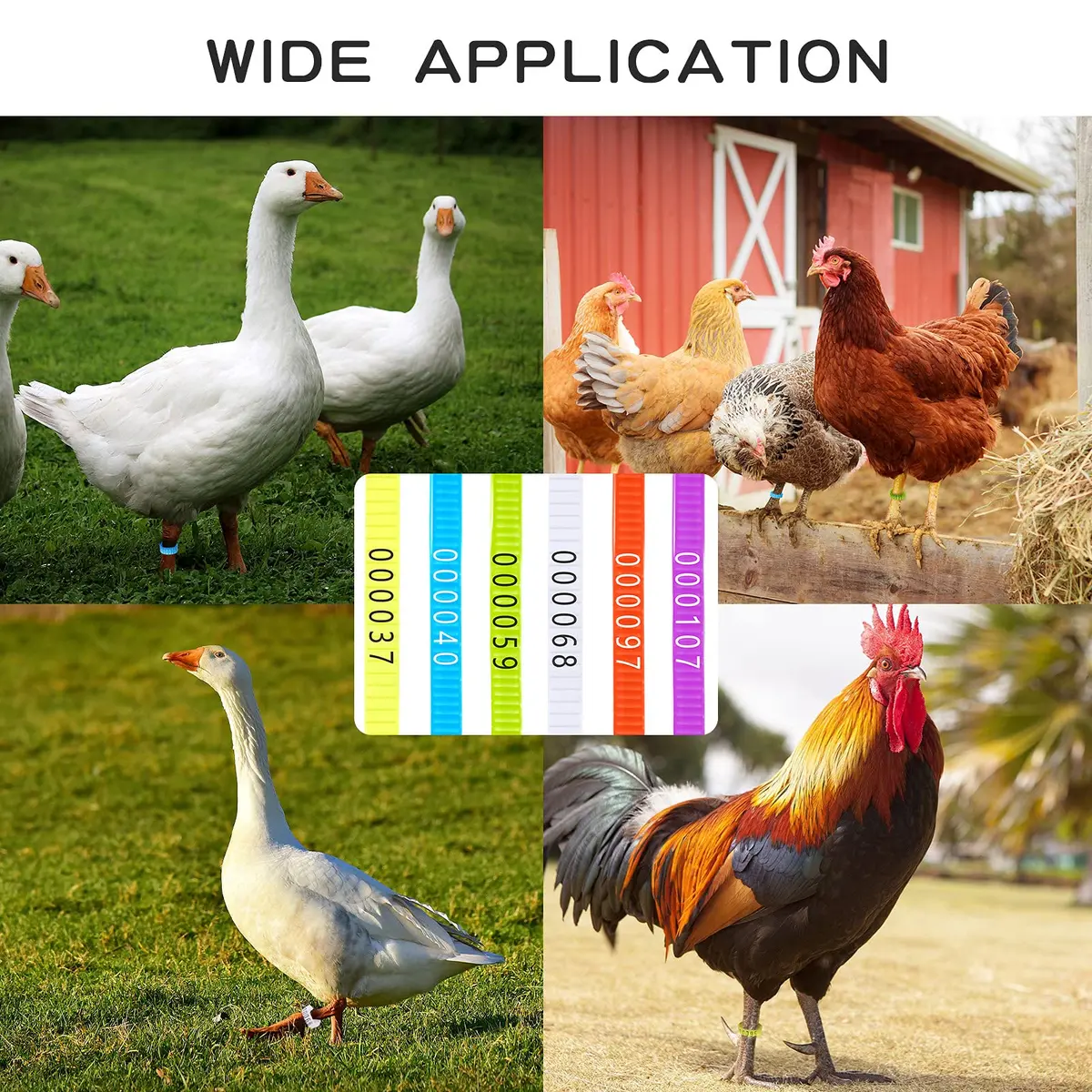Shappy 120 Pcs Adjustable Chicken Leg Bands Numbered 1-120, 6 Colors | Bulk Farm Management & Wire Organizing - view 6
