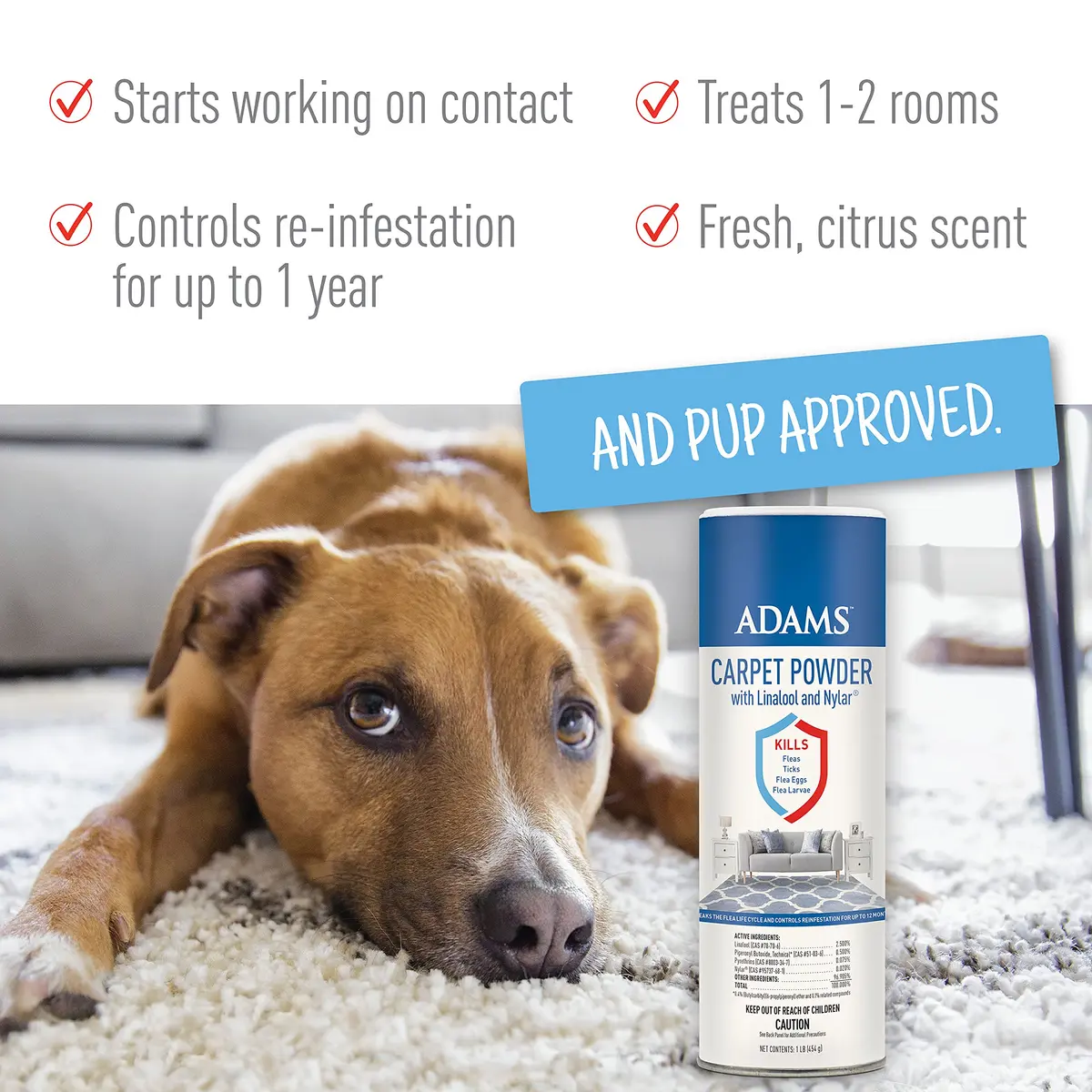 ADAMS Carpet Powder & Shampoo Bundle | Flea & Tick Control for Cats & Dogs, 16oz (473ml) | Long-Lasting Flea Cycle Breaker - view 2