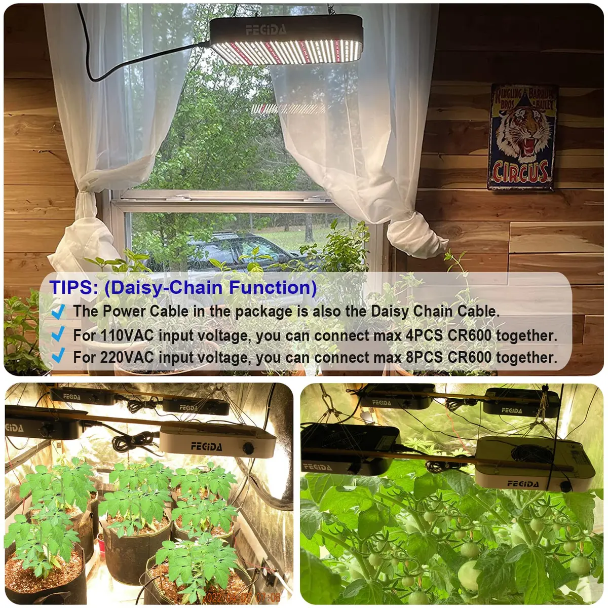 FECiDA Cruiser Series 65W Dimmable Full Spectrum LED Grow Light for 2x2 ft Coverage | Quiet Cooling Fan & Daisy Chain - view 8