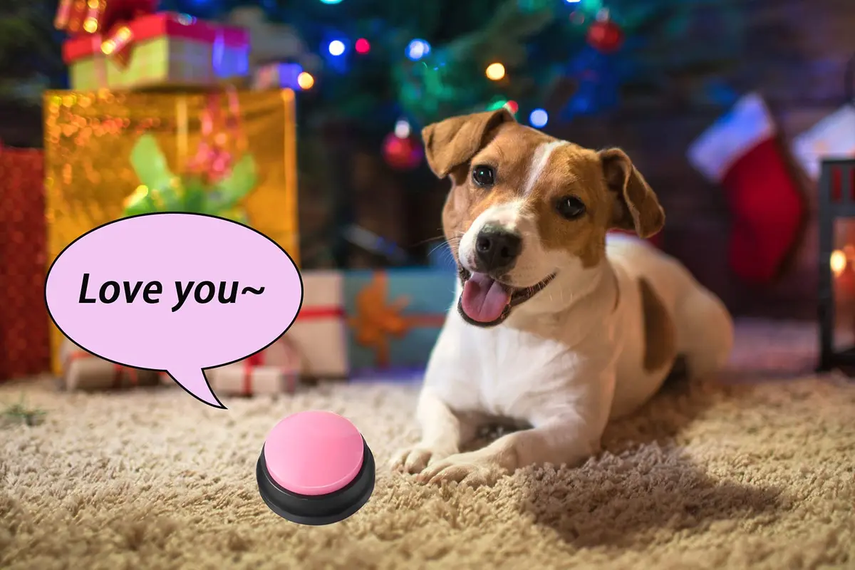 OFVENS Voice Recording Button 4 Packs | Record & Playback for Pet Training & Fun Gifts - view 8