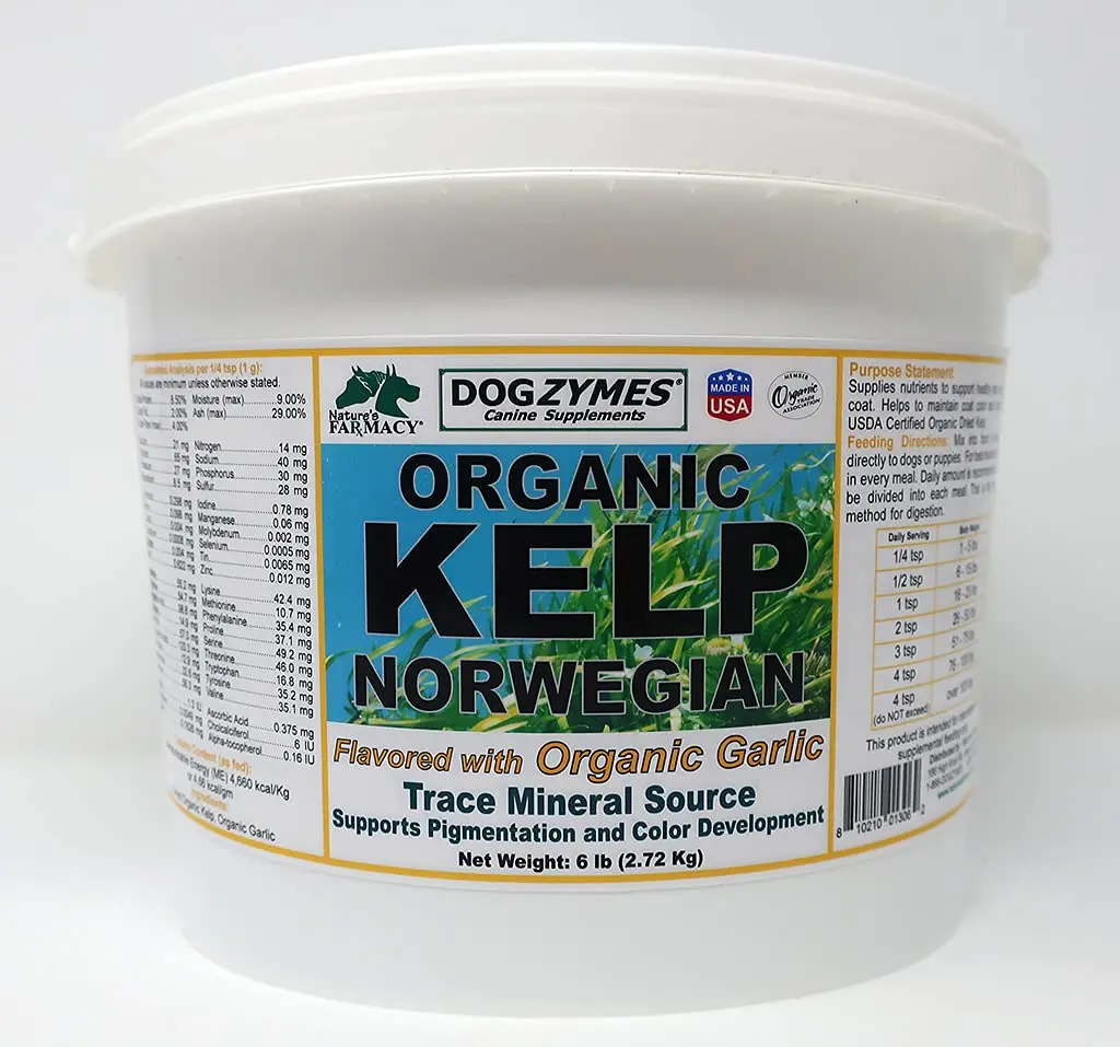 Dogzymes Organic Norwegian Kelp Enhanced with Garlic 6 Pound | Supports Thyroid & Skin - main product image
