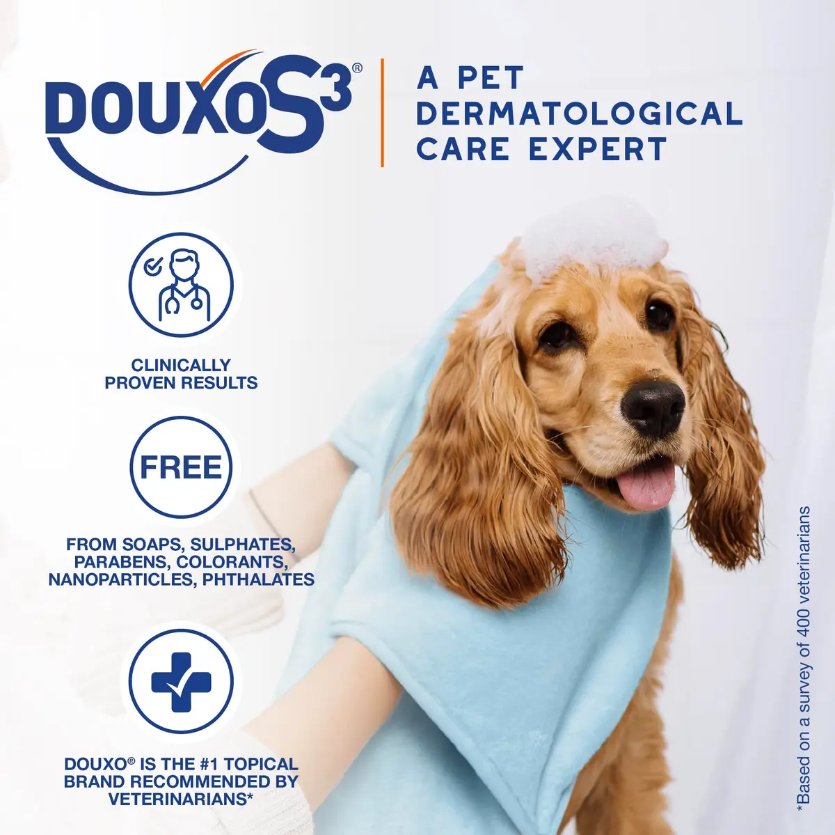 Douxo S3 PYO Medicated Dog Mousse 150 mL | Supports Bacterial & Yeast Skin Infections - view 4