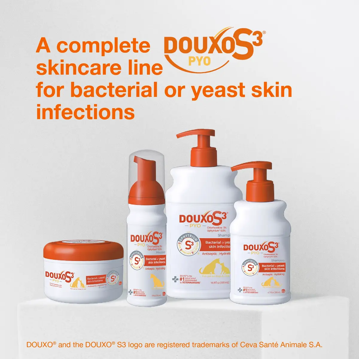 Douxo S3 PYO Medicated Dog Mousse 150 mL | Supports Bacterial & Yeast Skin Infections - view 8