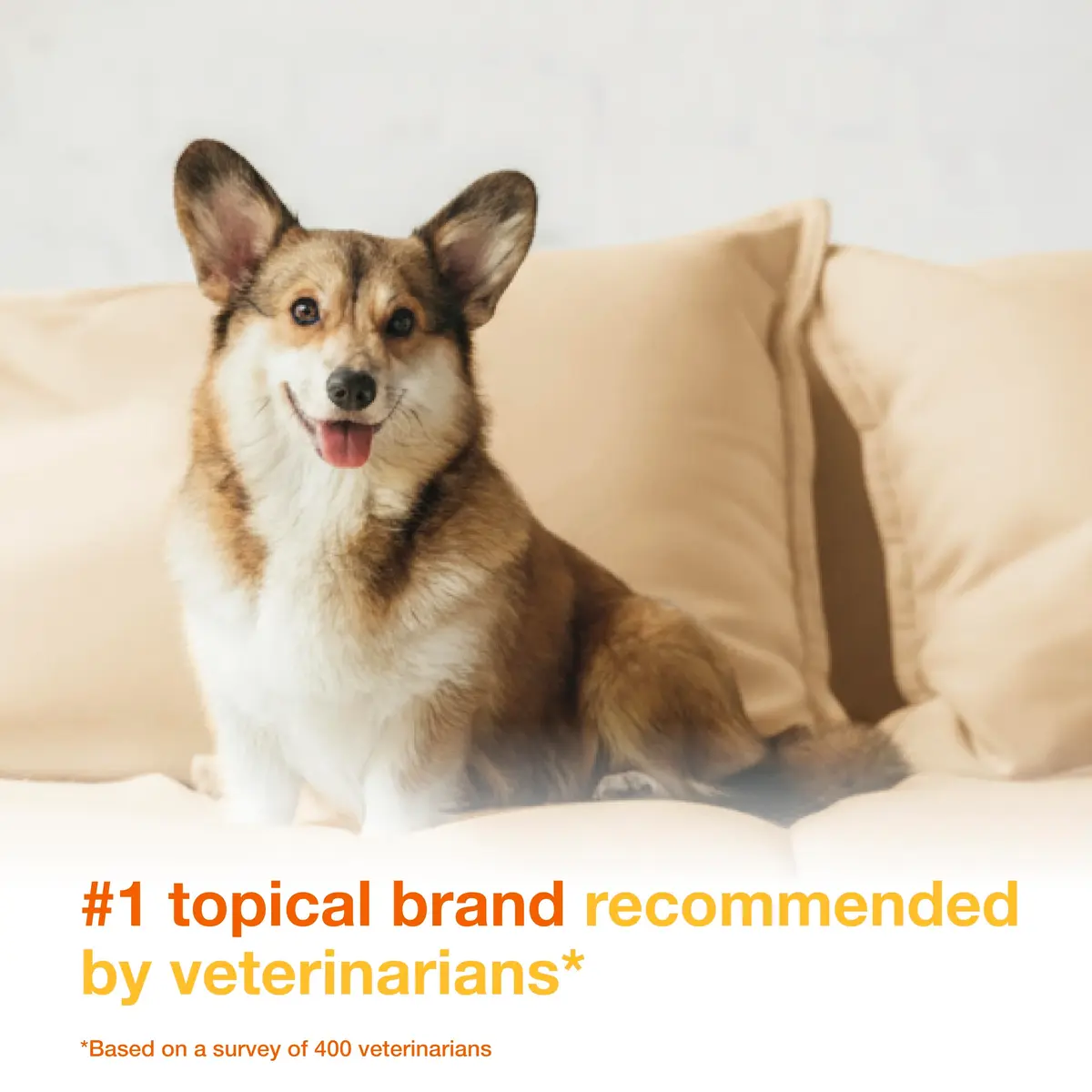 Douxo S3 PYO Medicated Dog Mousse 150 mL | Supports Bacterial & Yeast Skin Infections - view 3